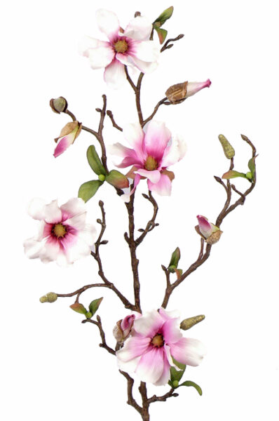 Kunstbloem Magnolia fijn steek, 75cm,4 bloemen (Ø 7- 8 cm)