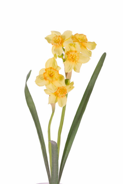 Kunstbloem Narcissus 5 bloemen Ø 6cm, 2 knoppen 3 bladeren, 53cm