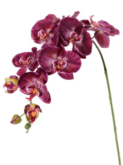 Kunstbloem Phalaenopsis (Vlinderorchidee) 9 bloemen 2 bloemknoppen (1 plastic), 102 cm