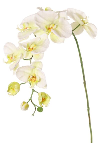Kunstbloem Phalaenopsis (Vlinderorchidee) wit geel 102cm