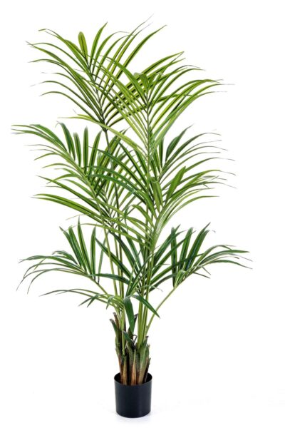 Kunstplant Natural Kentiapalm