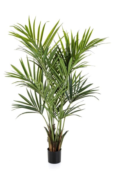 kunstplant Kentiapalm 172cm XL