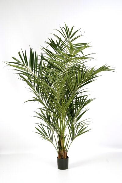kunstplant Kentiapalm 225cm XL