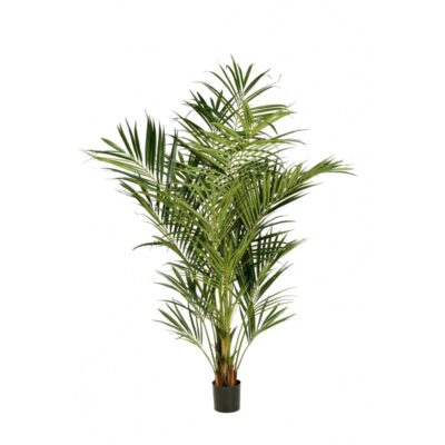 Kunstplant Natural Kentiapalm 225cm