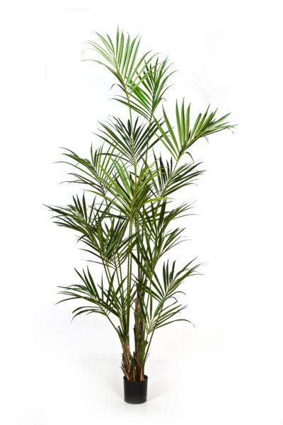 Kunstplant Natural Kentiapalm