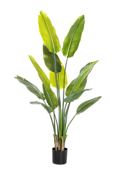 Kunstplant Strelitzia Traveller palm 160cm met 13 bladeren