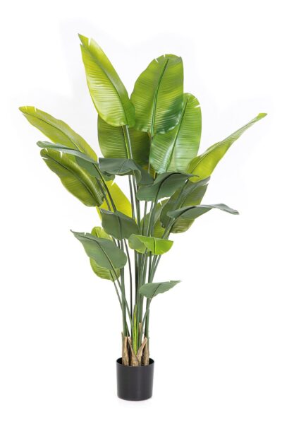 Kunstplant Strelitzia Traveller palm 180cm met 20 bladeren