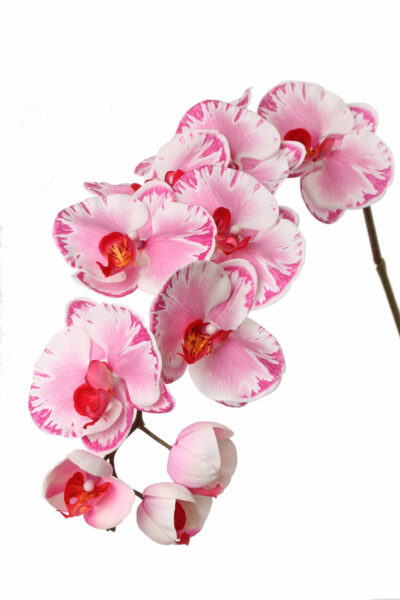 Kunstbloem Phalaenopsis 11fls, ø11cm, 102cm