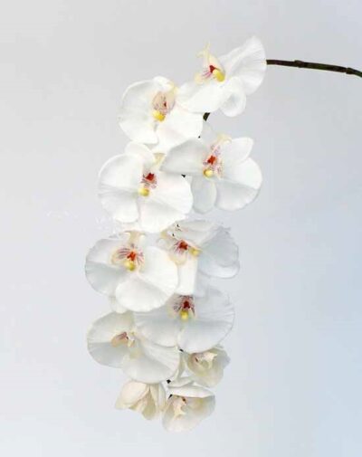 Kunstbloem Orchidee Phalaenopsis wit 102cm