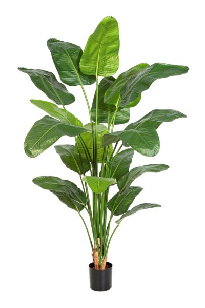 Kunstplant Strelitzia 220cm met 19 bladeren