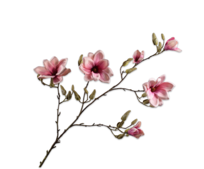 Kunstbloem Magnoliatak mauve 138 cm (Silkka)