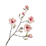 Creme-roze