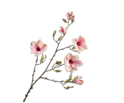 Kunstbloem Magnoliatak 138 cm (Silkka)