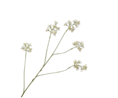 Kunstbloem Aralia roze 114cm Silkka