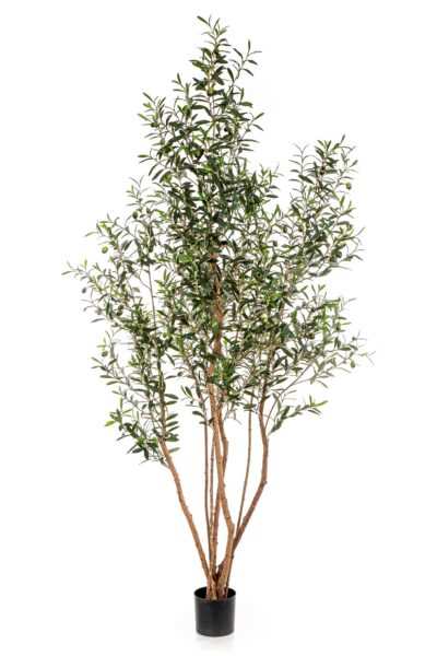 Kunst Olijfboom 220cm in pot