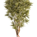 Groen-wit
