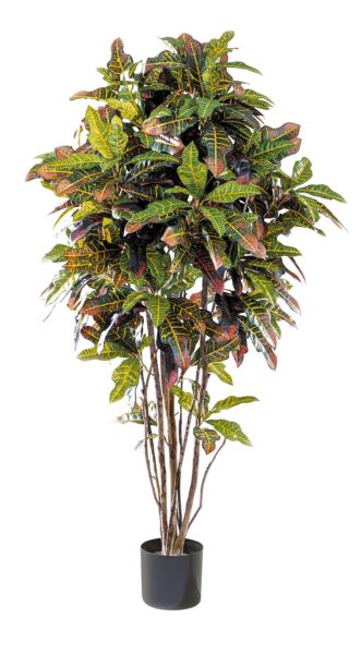 Kunstplant Croton tree