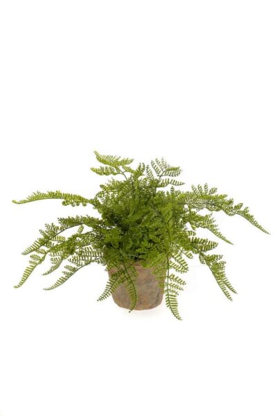 Kunstplant Fern forest bush in tc pot aged round 11cm