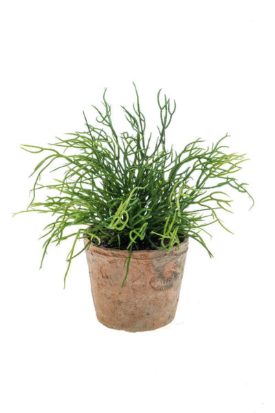 Kunstplant Rhipsalis in terracotta pot aged rond 11 d