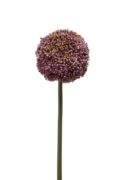 Kunstbloem Allium stem 75cm purple