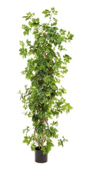 Kunstplant Cissus op stok