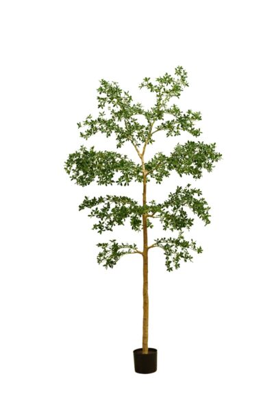 Kunstplant Bucida tree deluxe 290cm