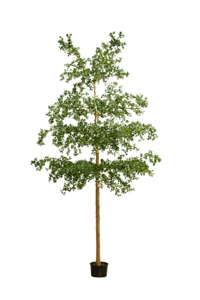 Kunstboom Bucida 390cm