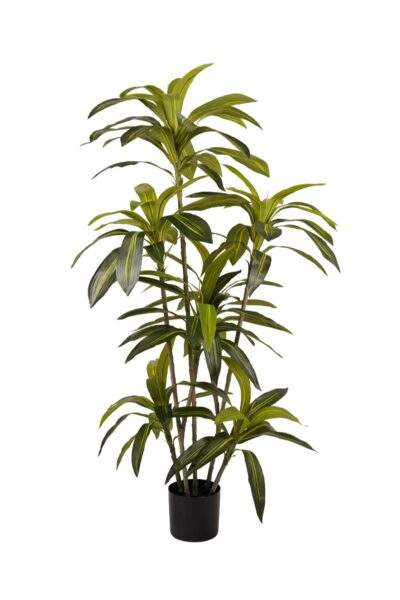 Kunstplant Dracaena plant 170cm