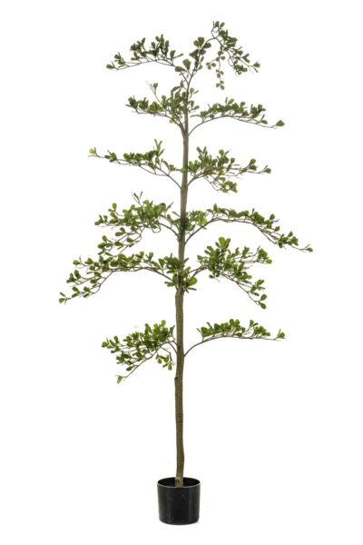 Kunstplant Bucida tree 175cm