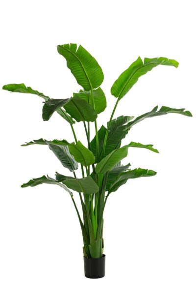 Kunstplant Strelitzia tree 210cm