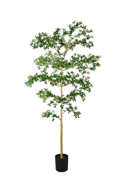 Kunstplant Bucida tree deluxe 240cm