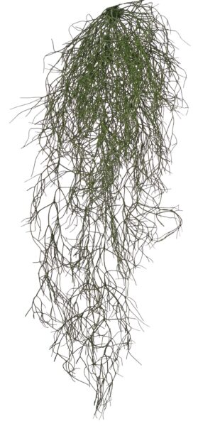 Kunsthangplant Rhipsalis (Koraalcactus) 'de luxe' met 68 clusters blad, 105 cm, brandvertragend & UV bestendig