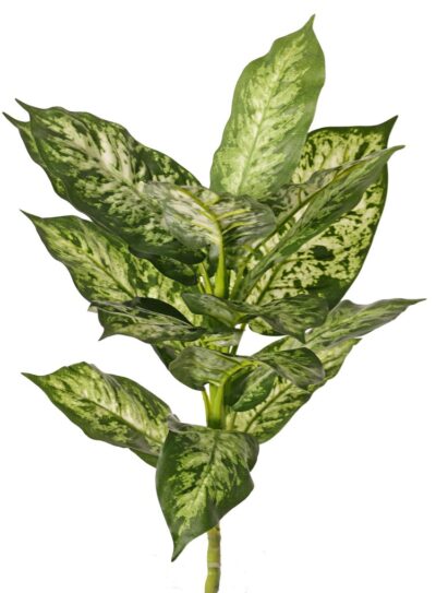 Kunstplant Dieffenbachia met 16 polyester bladeren, Ø 30 cm, H. 40 cm - brandvertragend