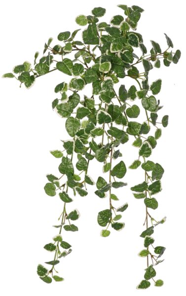 Kunsthangplant Ficus pumila 'Variegata', met 12 uitlopers & 234 blaadjes, 50 x 40 cm, brandvertragend