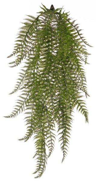 Kunstplant Woodwardiavaren hanger, 7 vertakkingen, 55 varenbladeren, UV bestendig, 70 cm