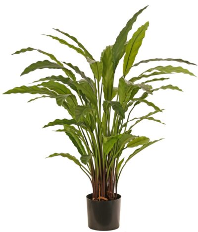 Kunstplant Calathea rufibarba Ø 50 cm, H 80 cm