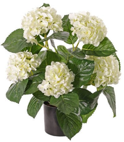 Kunstplant Hortensia met 5 grote bloemtrossen x204 flrs 30 bladeren, 36cm