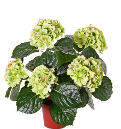 Kunstplant Hortensia met 5 grote bloemtrossen x204 flrs 30 bladeren, 36cm