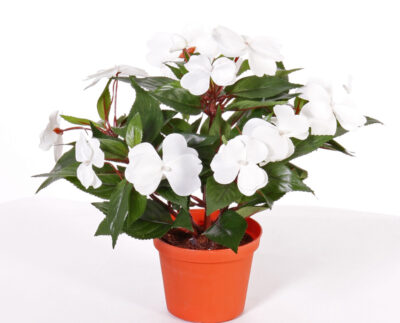 Kunstplant Impatiens struik (Vlijtig liesje) x13 in pot 25cm