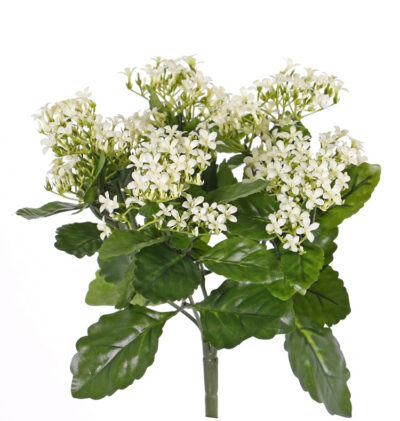 Kunstplant Kalanchoëbush x25 clusters plastic flrs 70 polyesther lvs, 34cm, UVsafe