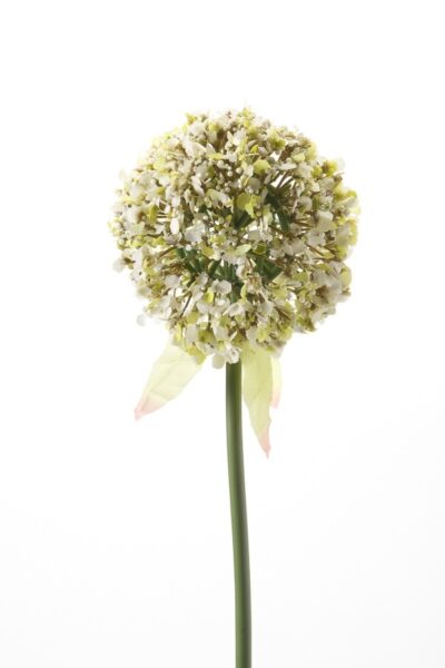 Kunstbloem Allium Spray wit 70cm