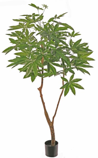 Kunstplant Pachira 2-stammig 180cm