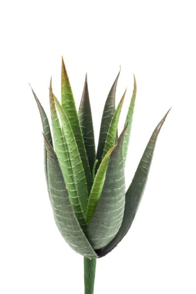 Kunstplant Aloe vera 23cm 15lvs green