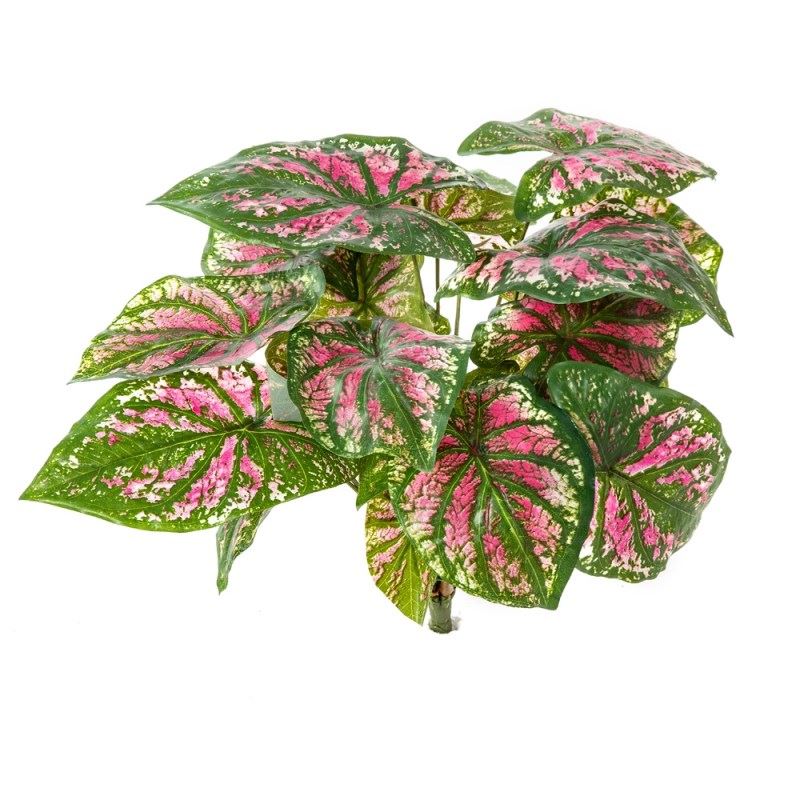 Kunstplant Caladium bush 34cm