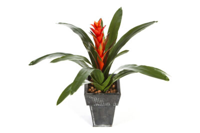 Kunstplant Guzmania cont. 47cm