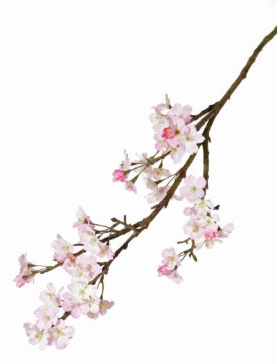 kunstbloem Appelbloesemtak groot 104cm