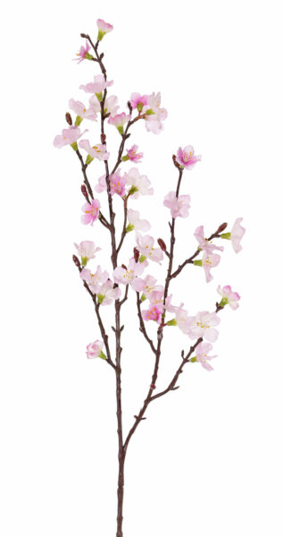 Kunstbloem Sakura bloesemtak (Prunus jamasakura), 2 vertakkingen, 36 bloemen, 8 plastic knoppen, 76cm