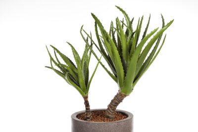 Kunstplant Agave op stam 78cm