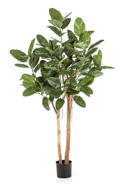Kunstplant Ficus Audrey 170cm
