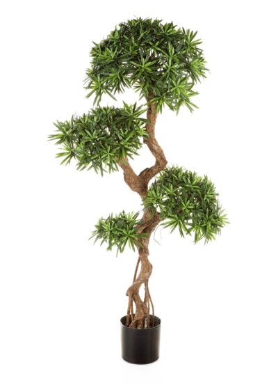 Kunstplant Podocarpus on crazy trunk